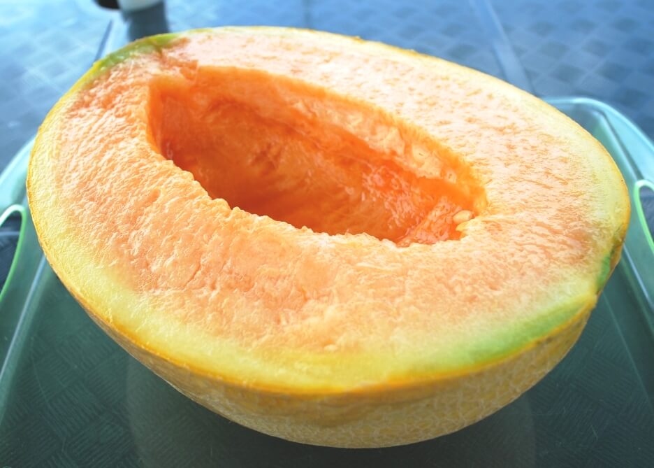 setengah potong yubari king melon